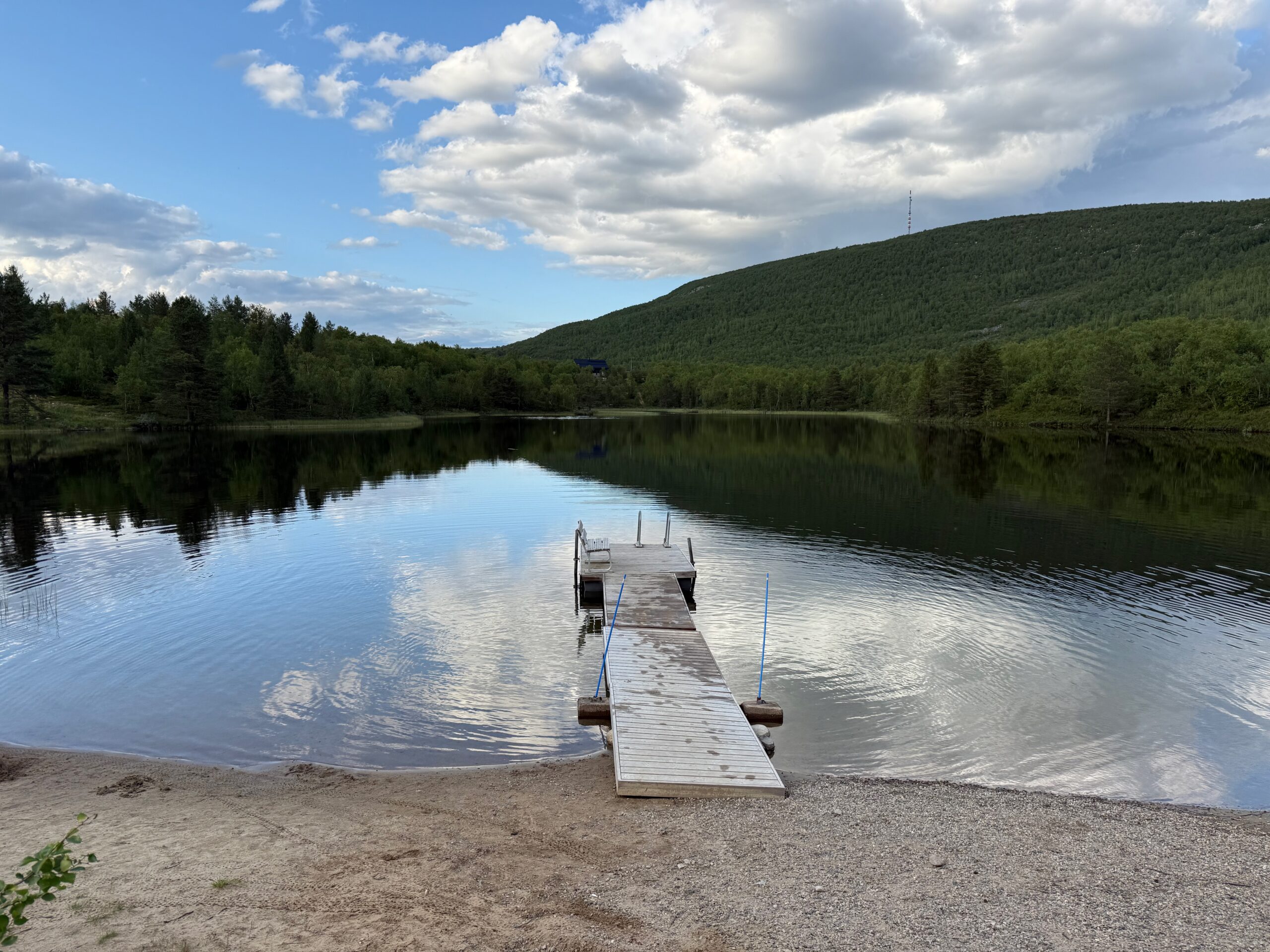 Personality qualities in tech professionals leading to burnout